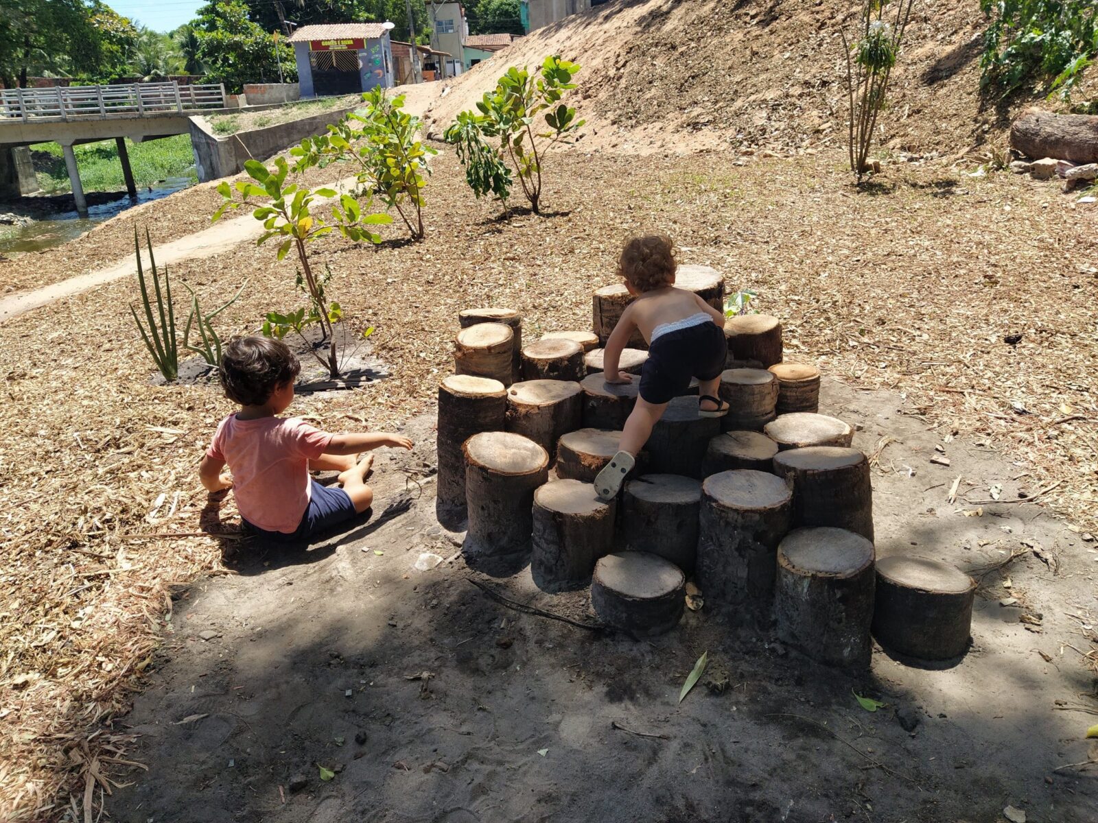 Parques naturalizados: valorizando a infância e o meio ambiente