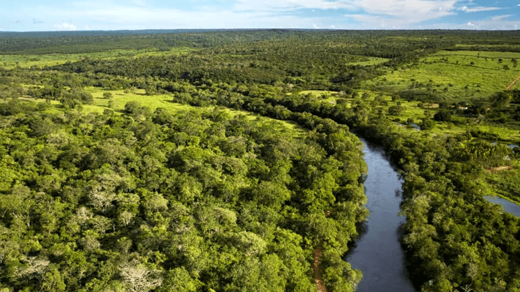 parque serra do conduru - rui rezende 01