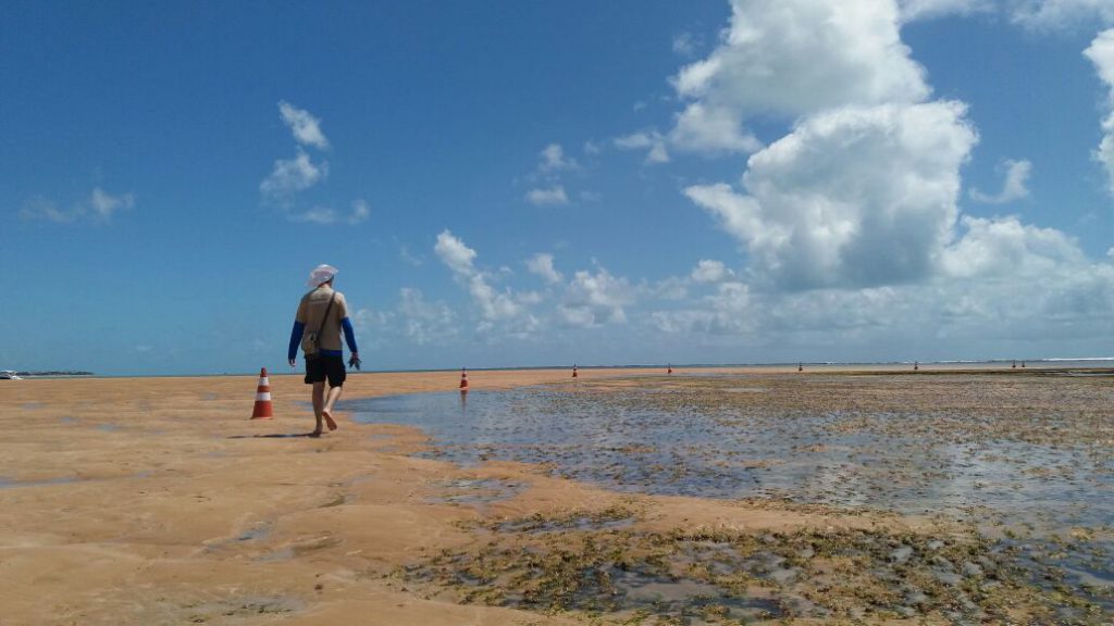 Uma beleza revelada durante a maré baixa