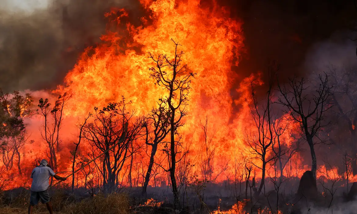 Incêndios em Parques: Uma Ameaça à Nossa Herança Natural