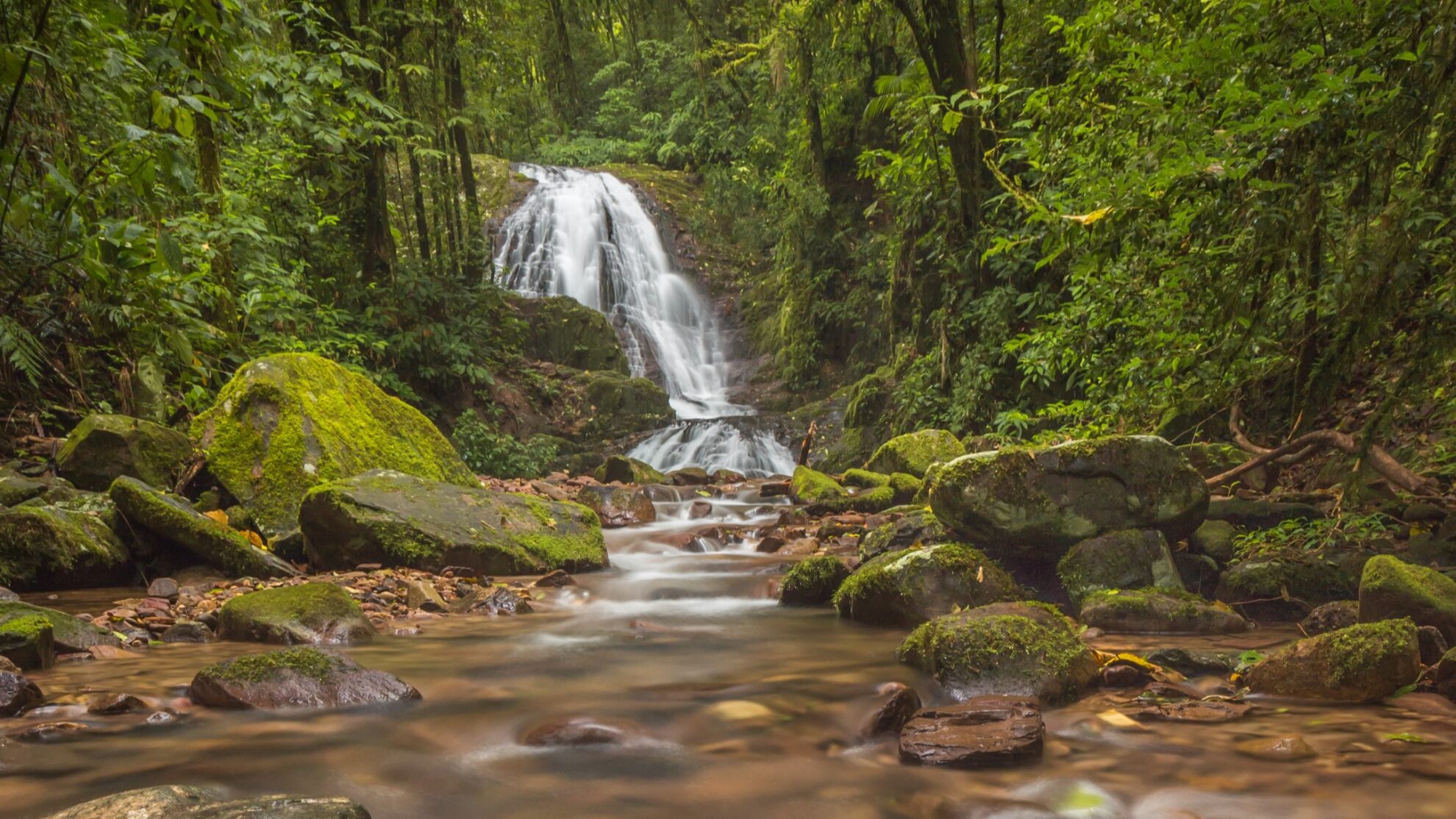 Muito além da praia: 6 parques naturais para se refrescar nas férias de verão 