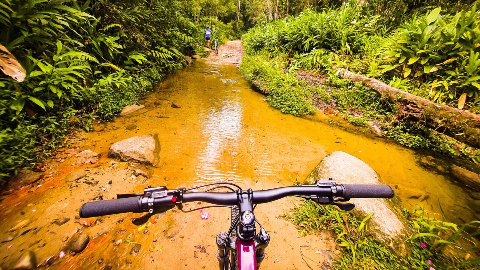 6 parques nacionais para conhecer de bicicleta