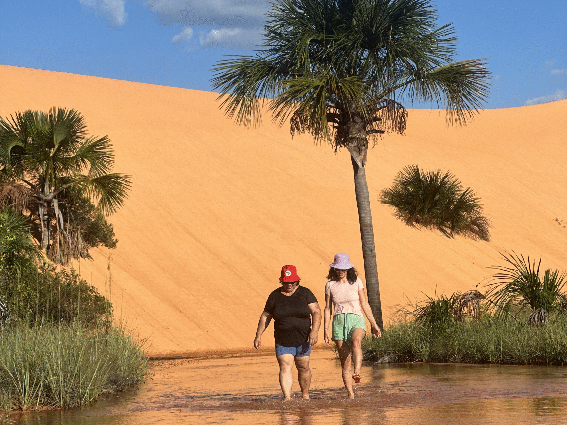 Semana Nacional do Meio Ambiente: caminhos para ampliar a cultura de visitação nos parques brasileiros 