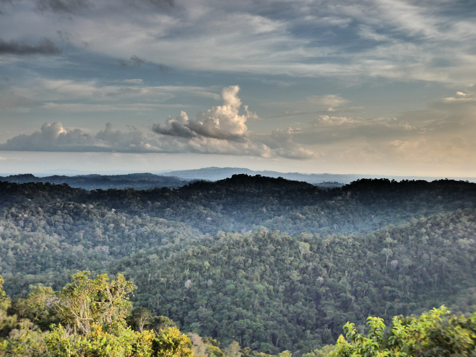 Conheça o Parque Nacional da Serra do Divisor, o parque mais a Oeste do Brasil