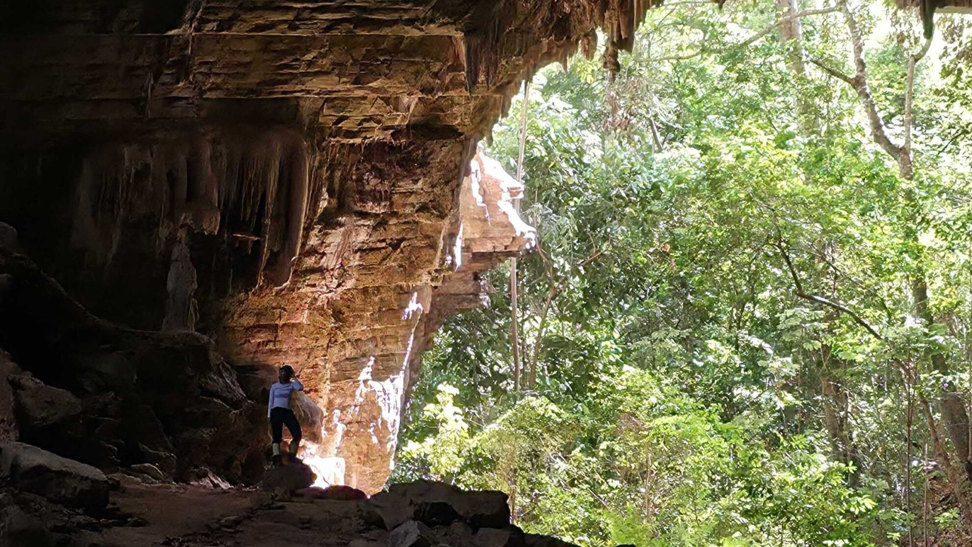 Ecoturismo no Brasil: porque espeleoturismo e observação de aves são atividades em alta