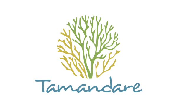 tamandaré